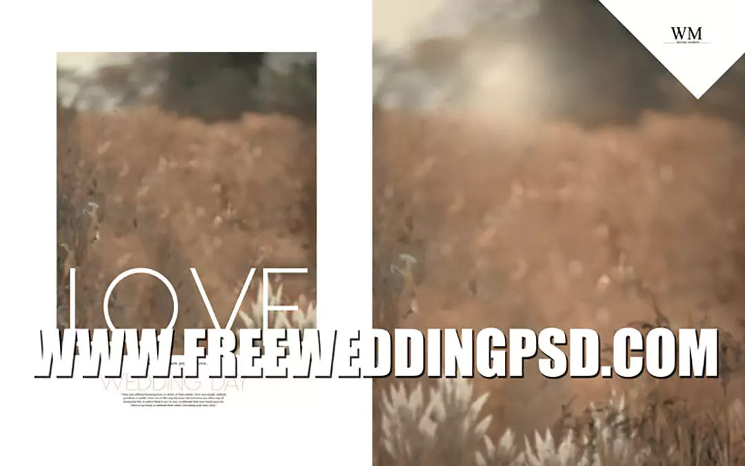 photo album background design psd